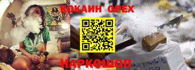 крисы Можга