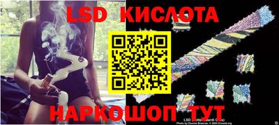 крисы Можга