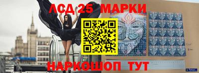 крисы Можга