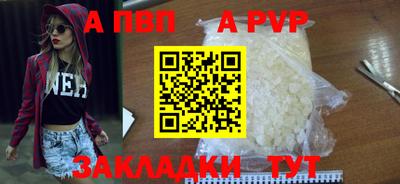 крисы Можга