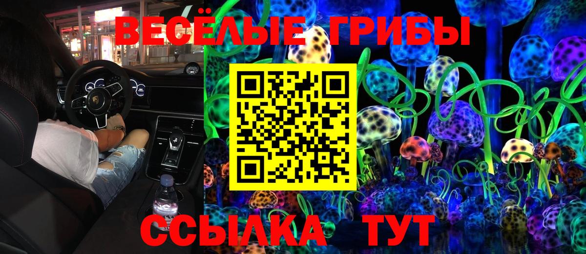 Псилоцибиновые грибы мицелий  Псилоцибиновые грибы ЛСД  Вход с VPN  Таганрог 